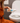 WC Reiniger mit Rosmarin und Zitrone Flasche 750ml